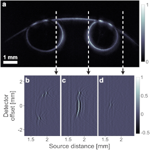 ptoacoustic image of a double-loop-shaped